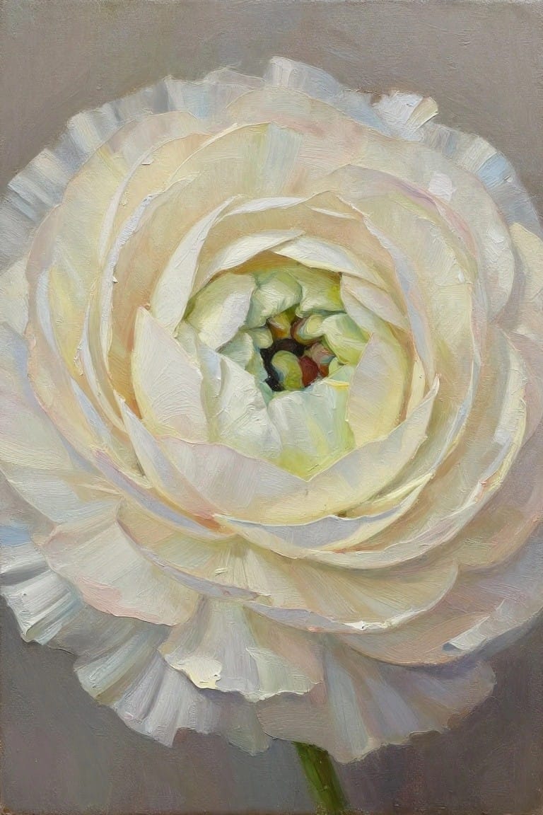 Oil painting of a close-up white peony with ruffled textured petals and green center on gray background.