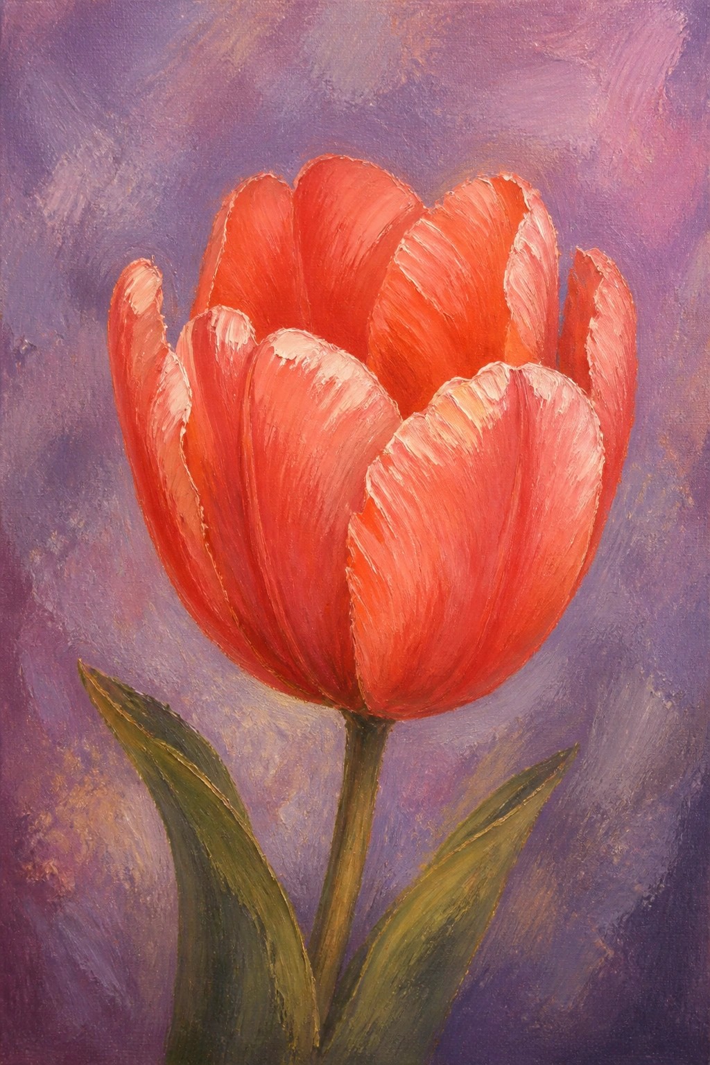 Vibrant red tulip with green leaves on textured purple background