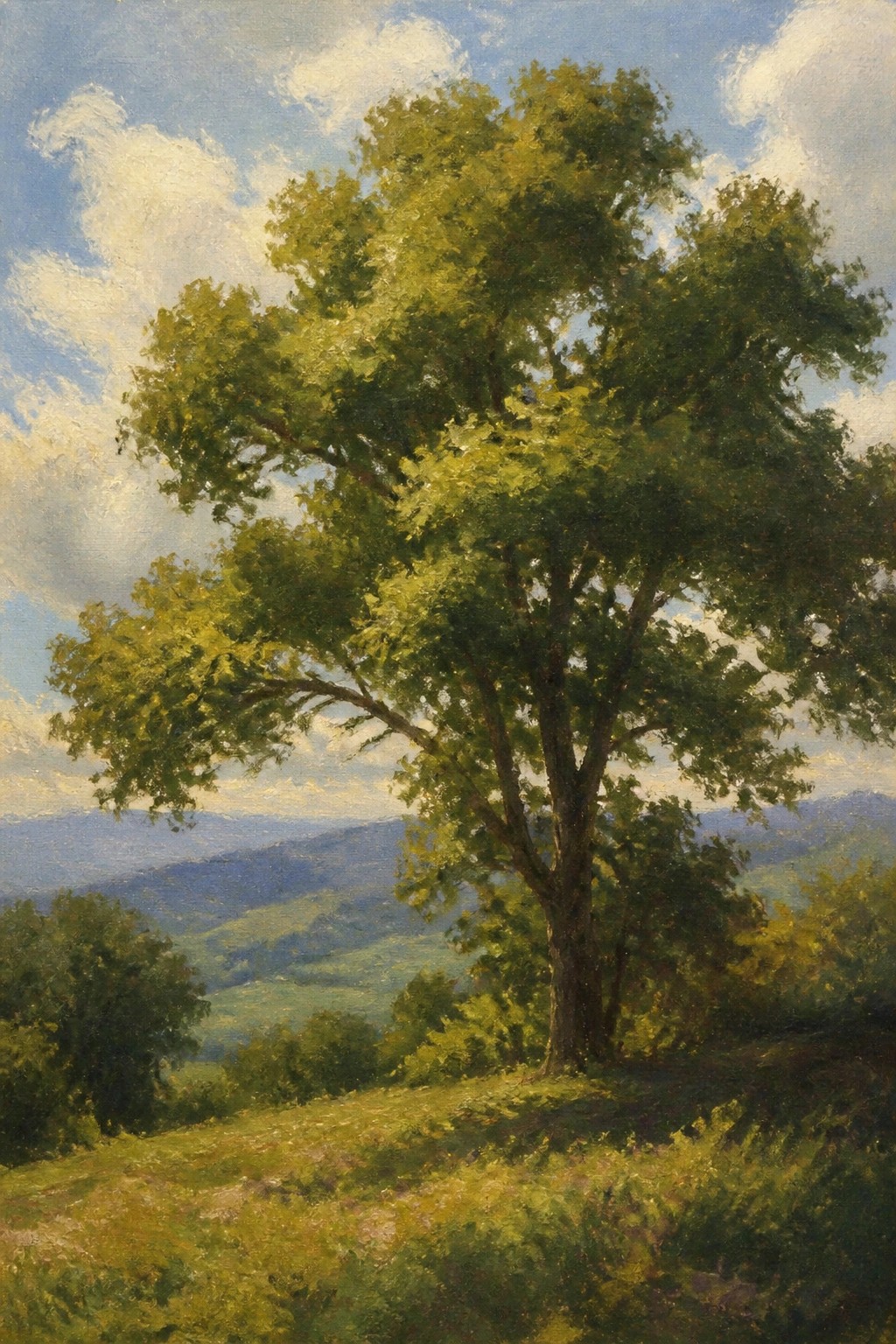 Large leafy tree atop grassy hill with hazy blue mountains under cloudy sky