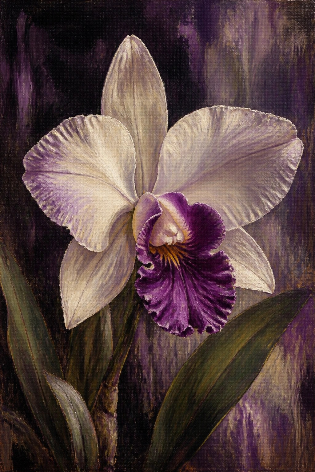 White and purple orchid with ruffled center and green leaves on dark background