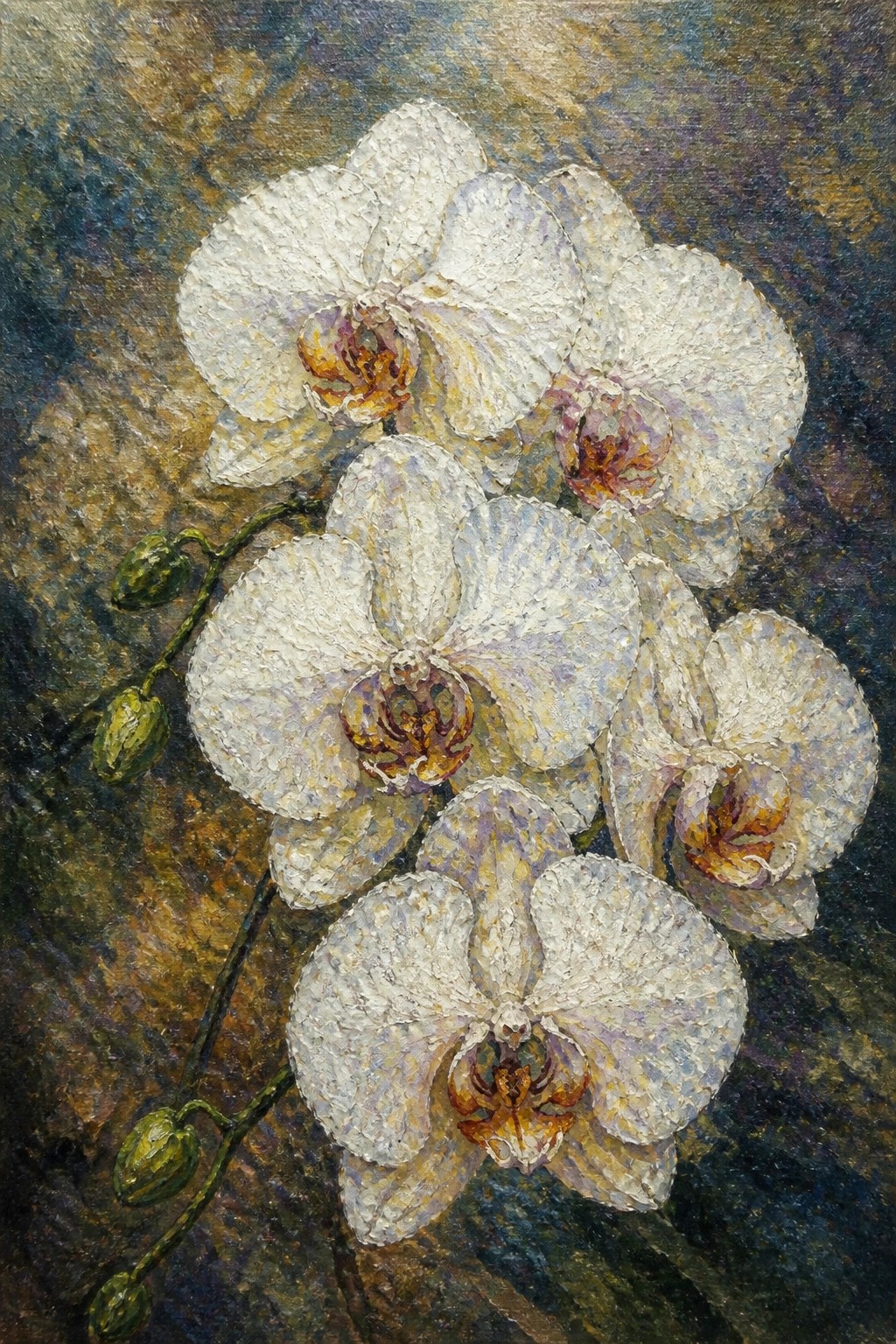 White orchids with yellow-brown centers and green buds on dark textured background