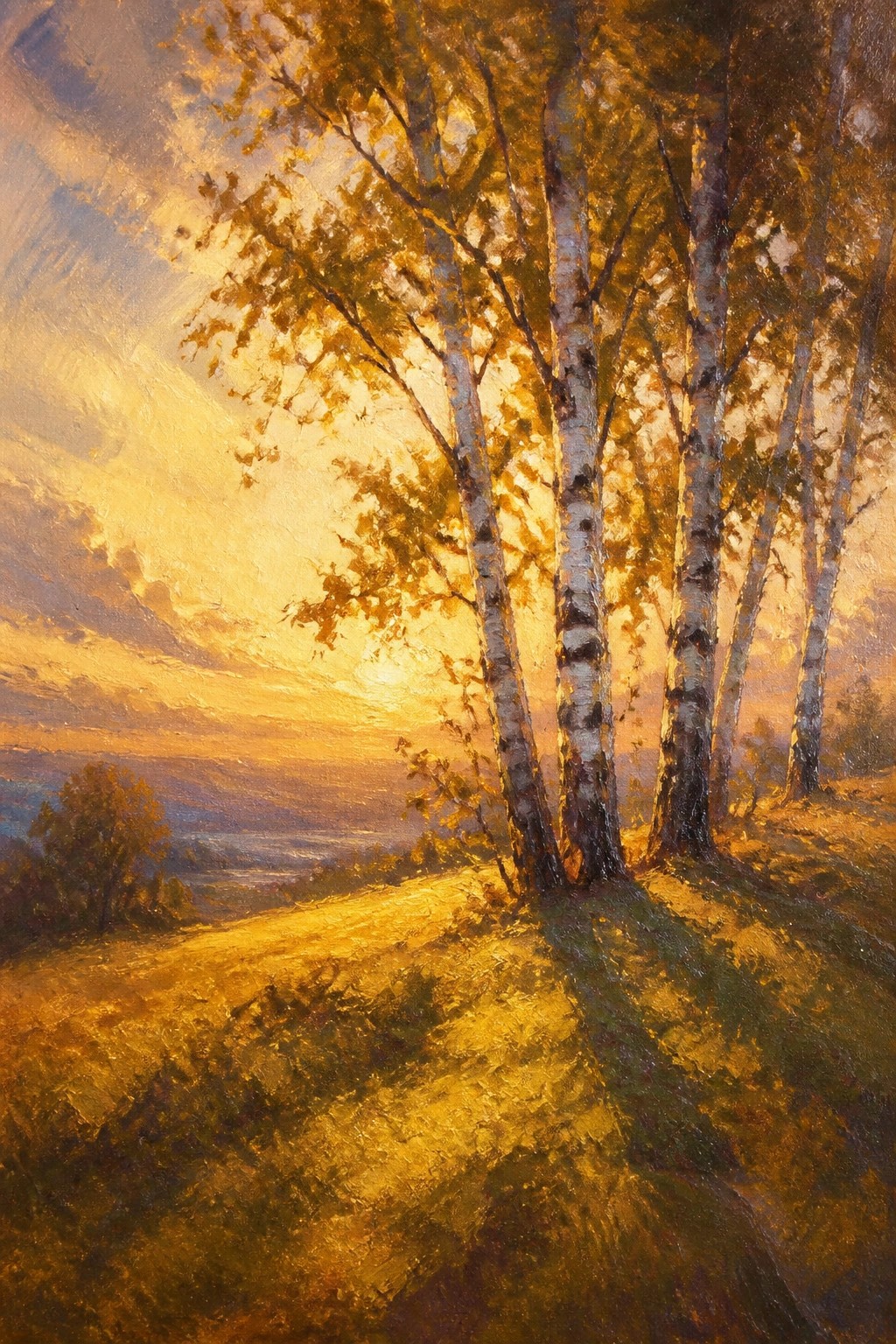 Golden sunlight illuminating birch trees on a grassy hillside at sunset.