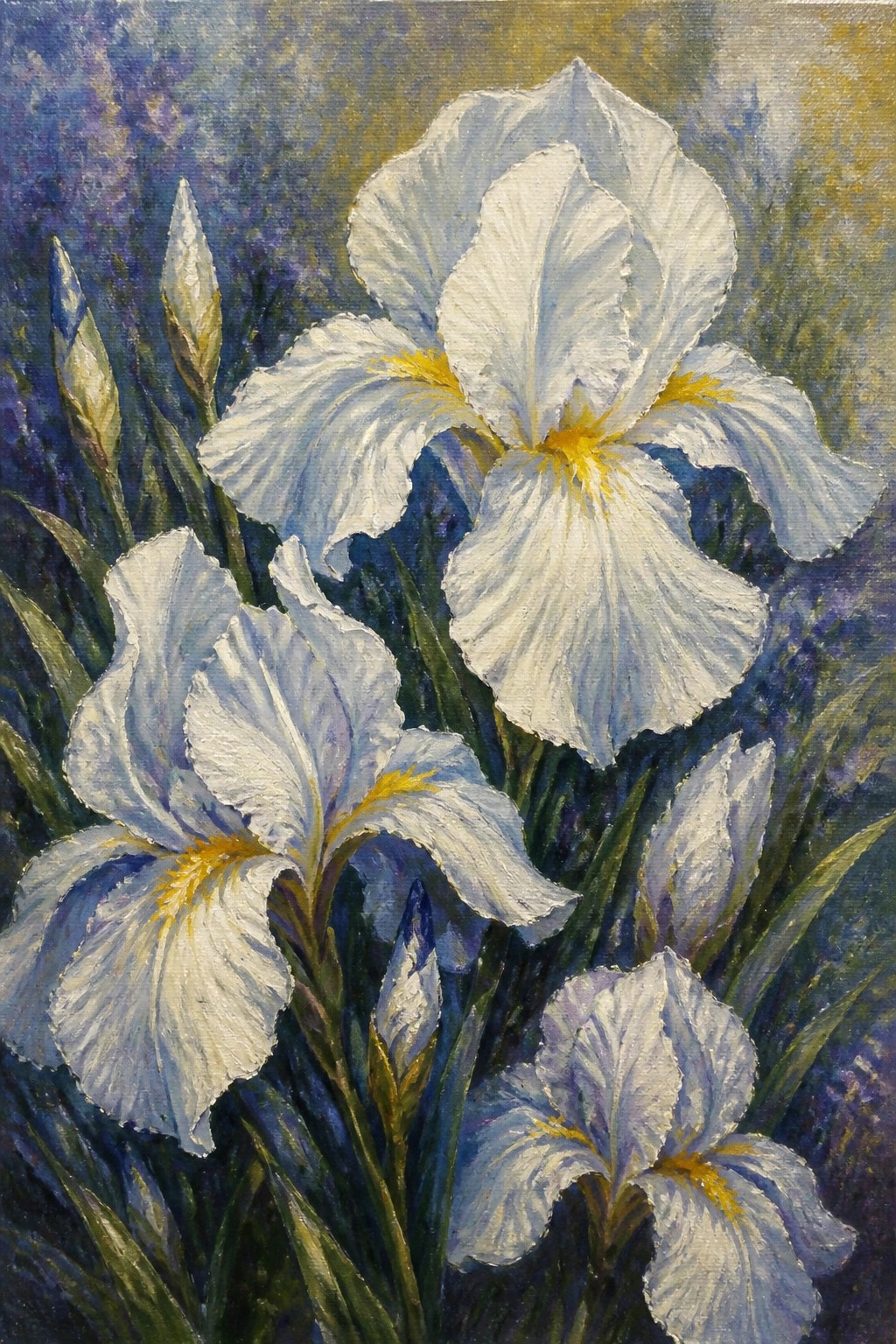 White iris flowers with yellow centers amid green leaves and purple background