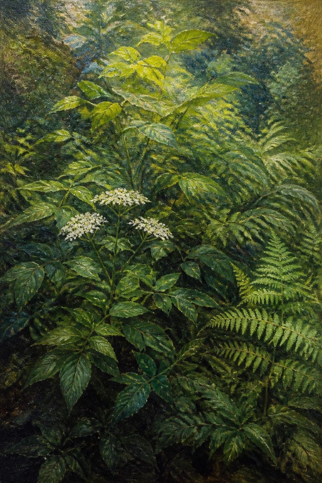 Lush green ferns and leafy plants with clusters of white flowers.