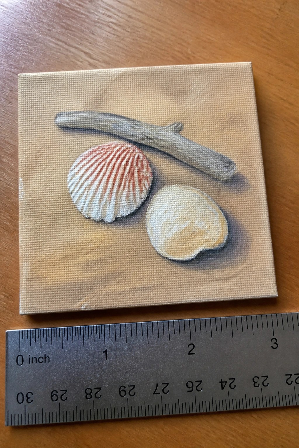 Small canvas with two seashells and driftwood painting beside ruler for scale.