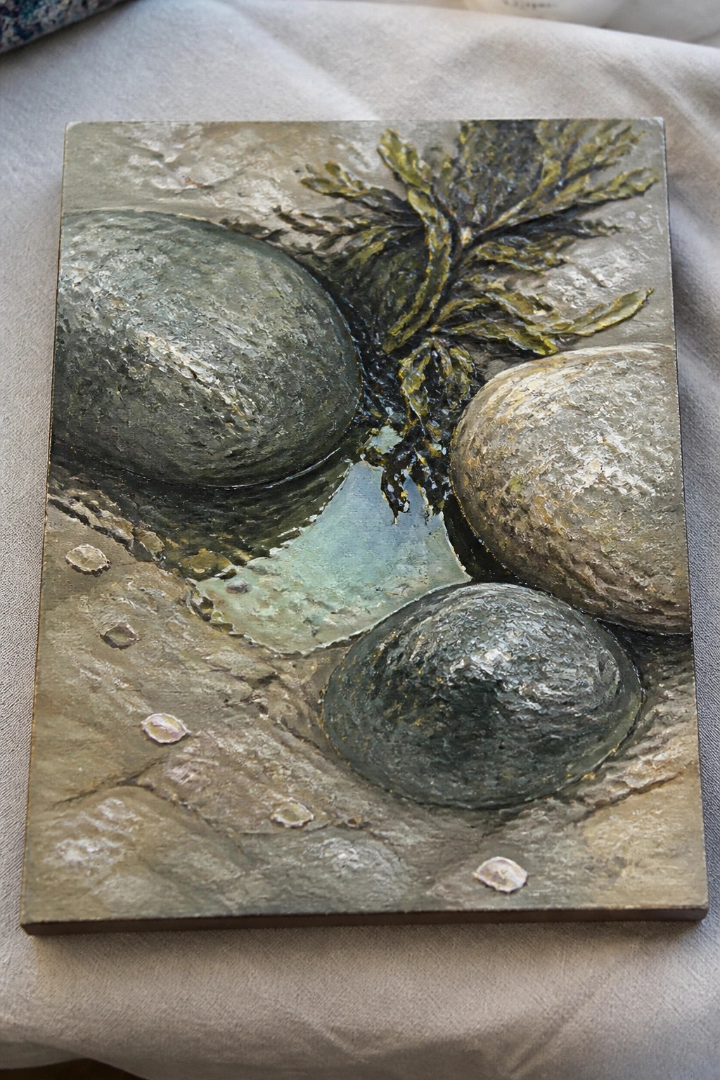 Textured relief of three rounded rocks amid green seaweed and scattered shells.
