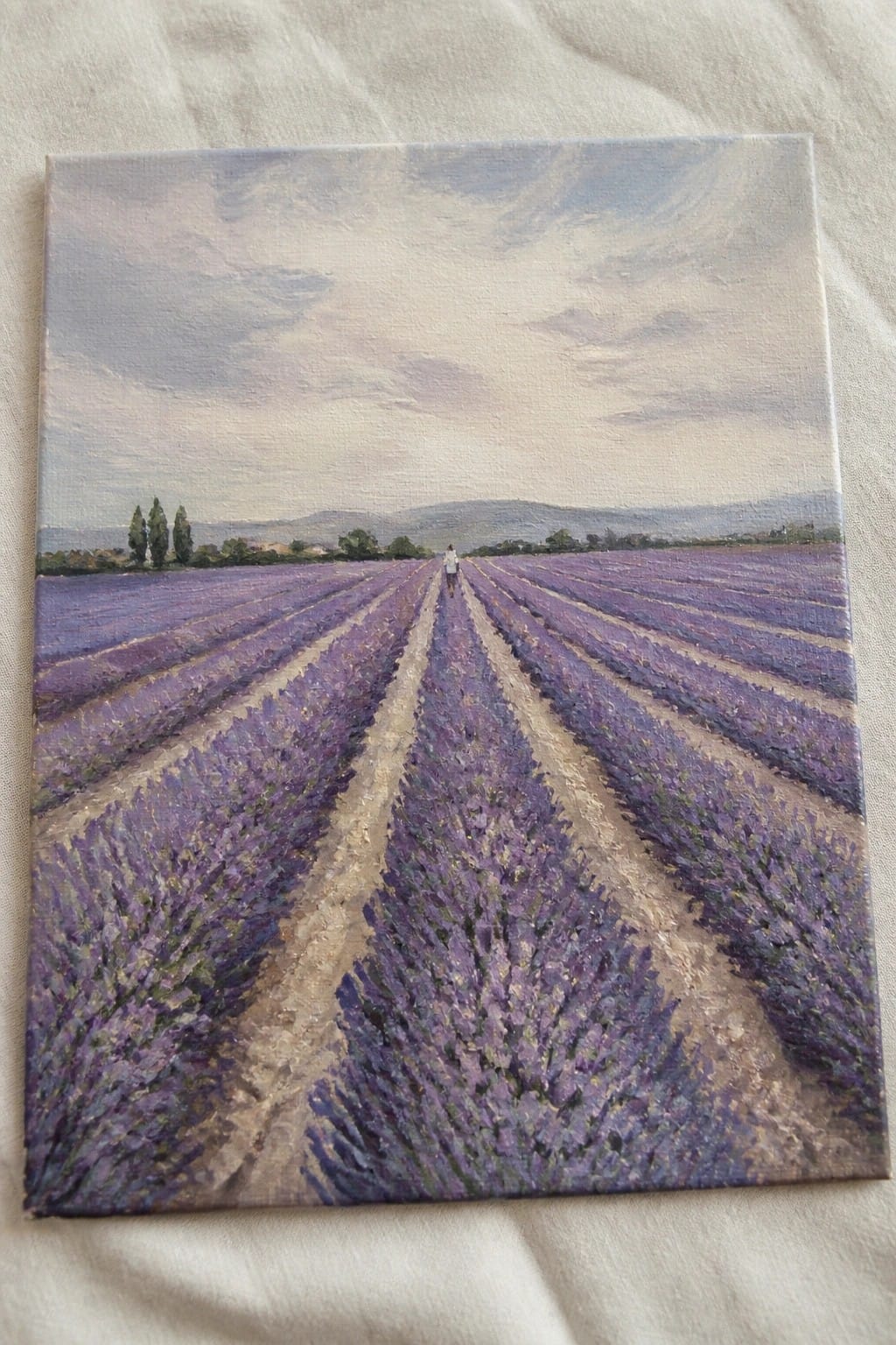 Person in white walking along path through rows of blooming purple lavender under cloudy sky.