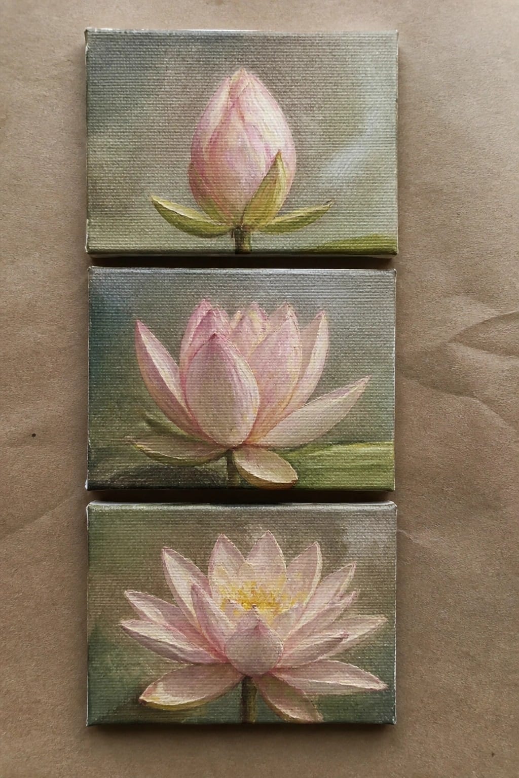 Three stacked canvases show pink lotus flowers progressing from bud to bloom.