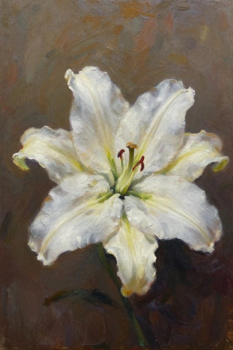 White lily flower with yellow stamens and red anthers on dark brown background