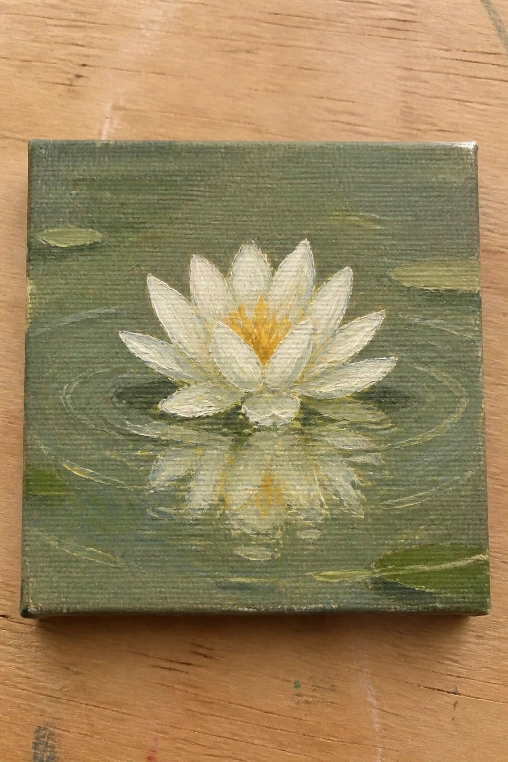 Small square canvas with white water lily and yellow center on green water