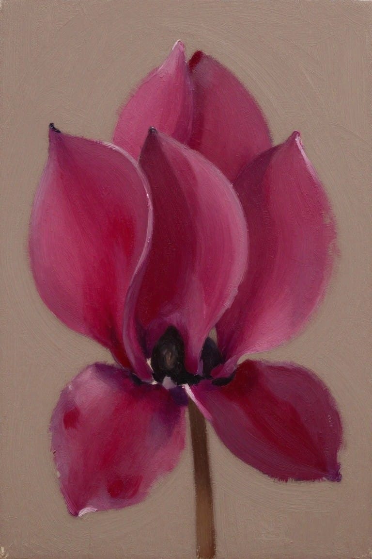 Magenta cyclamen bloom with layered petals and dark center on beige background