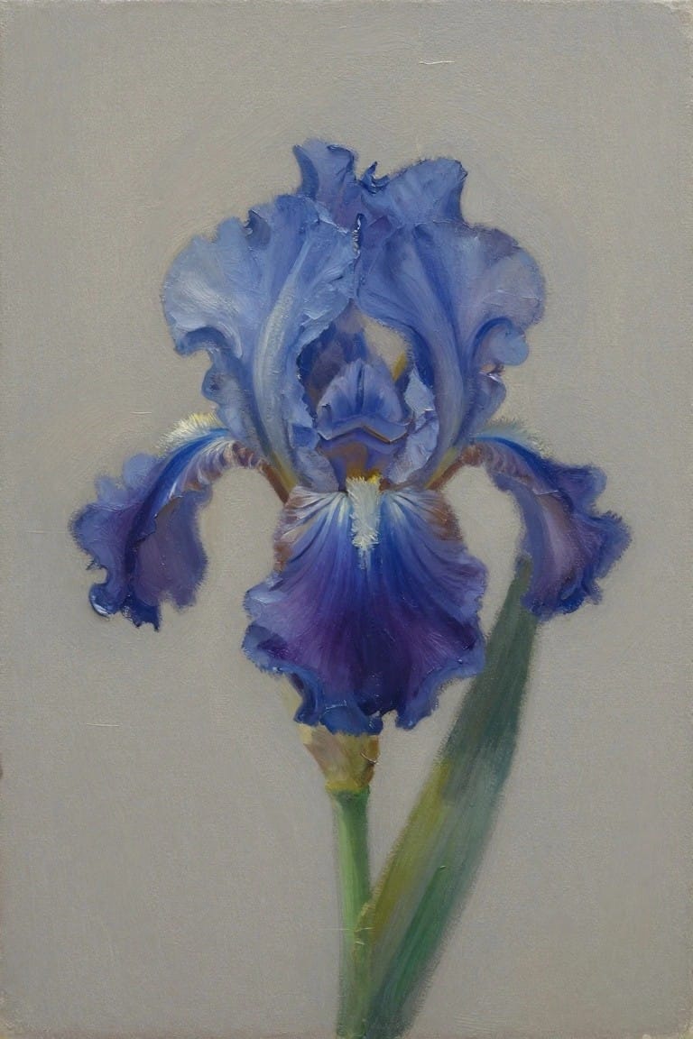 An oil painting of a blue iris flower with layered petals and a green stem against a plain light background.