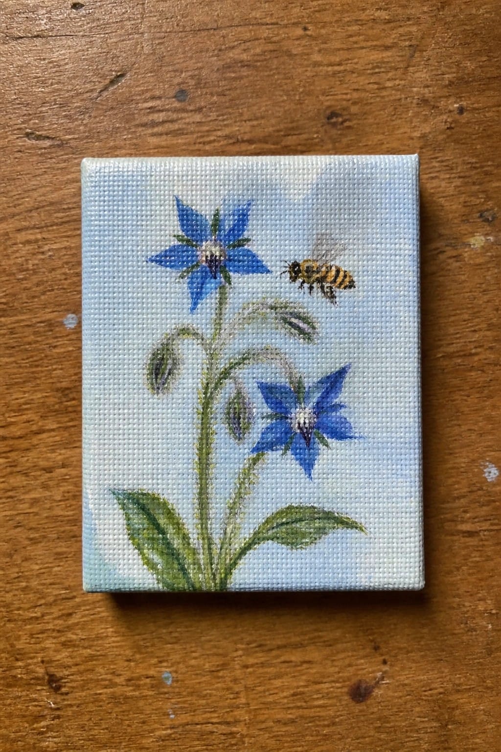 Small canvas painting of blue borage flowers and a bee on wood