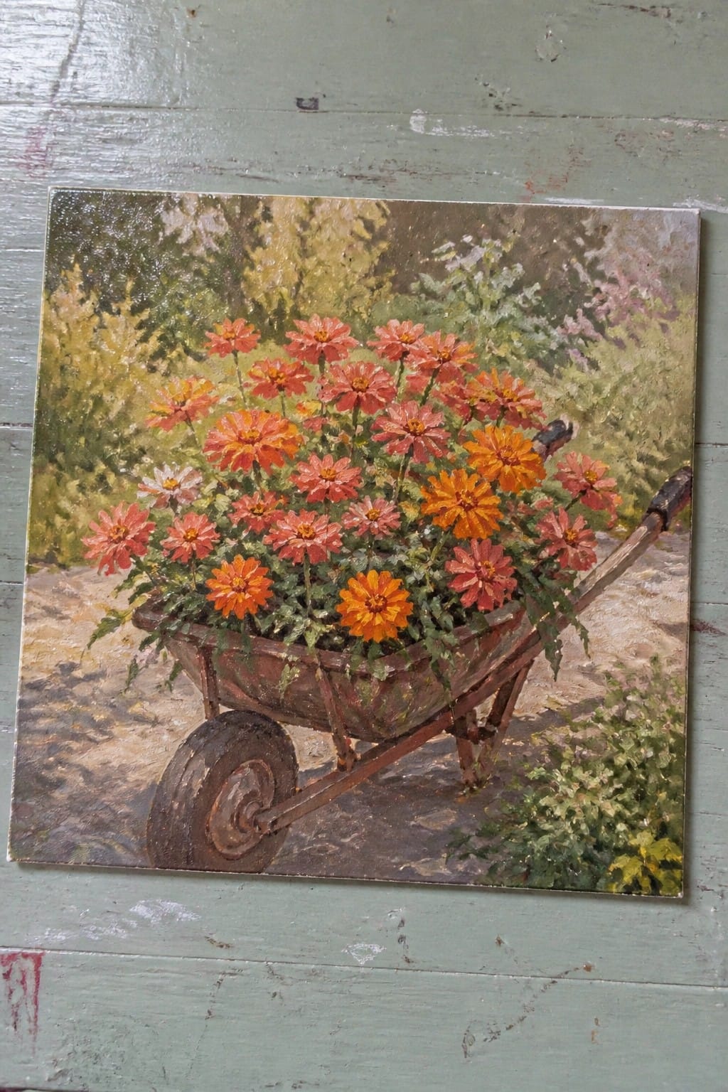 Rusty wheelbarrow overflowing with vibrant orange and pink zinnias on wood