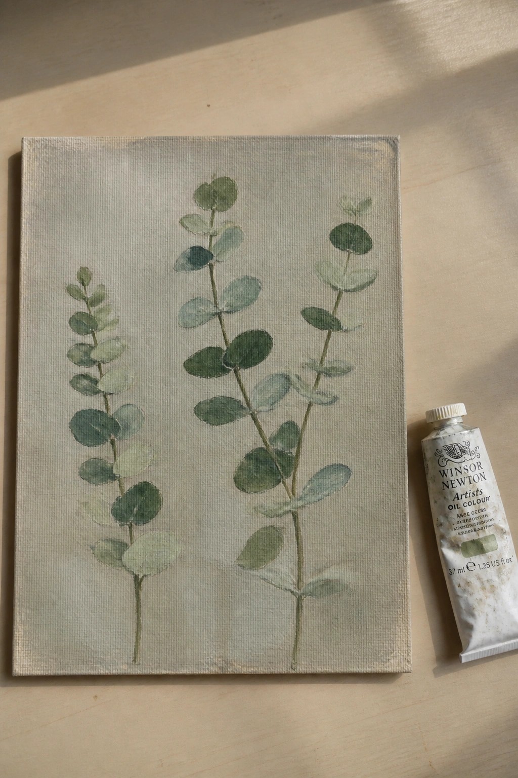 Canvas with three green eucalyptus stems beside a Winsor Newton sage green oil paint tube.