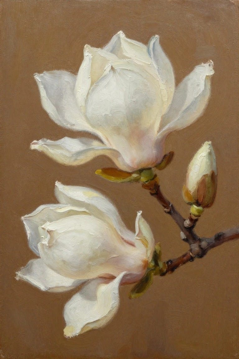 Two white magnolia blooms and a bud on a brown branch against earthy backdrop.