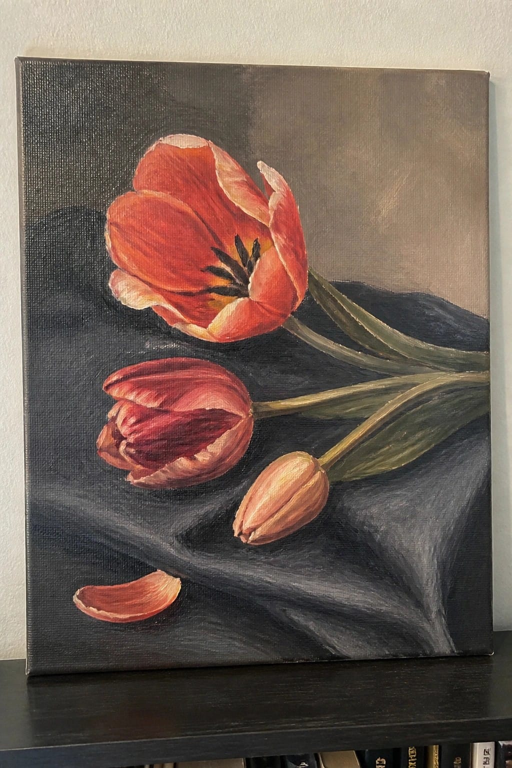 Three red tulips on dark draped fabric with one fallen petal nearby
