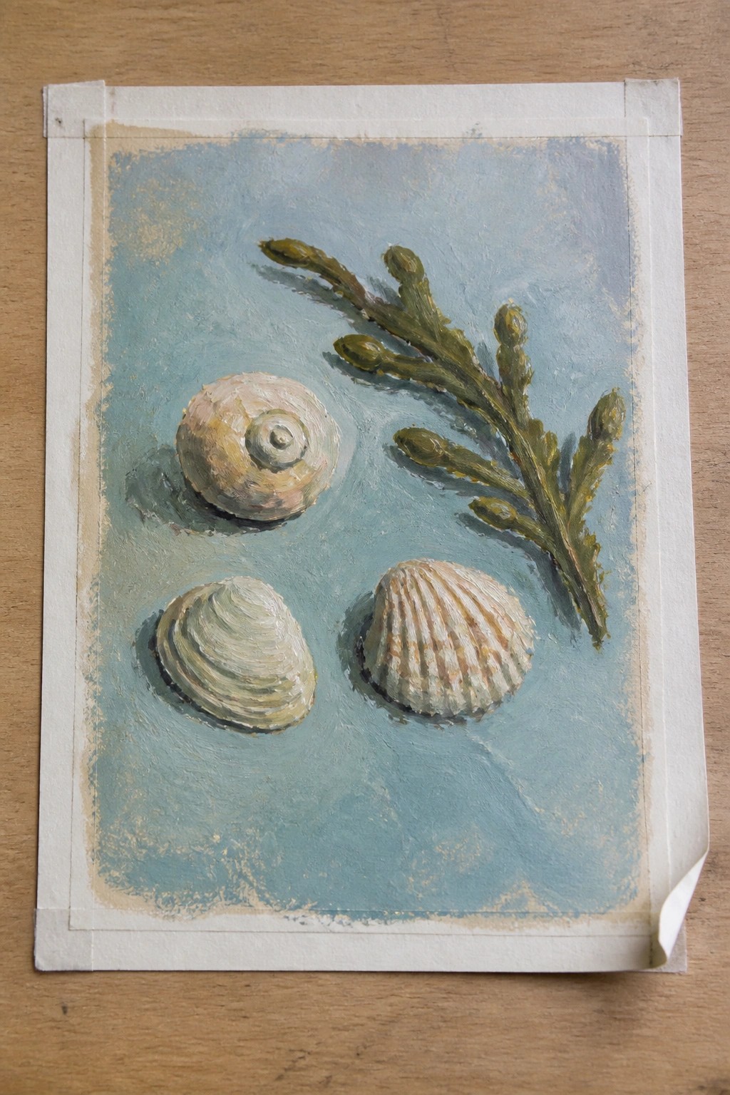 Three seashells and green seaweed on a textured blue background.