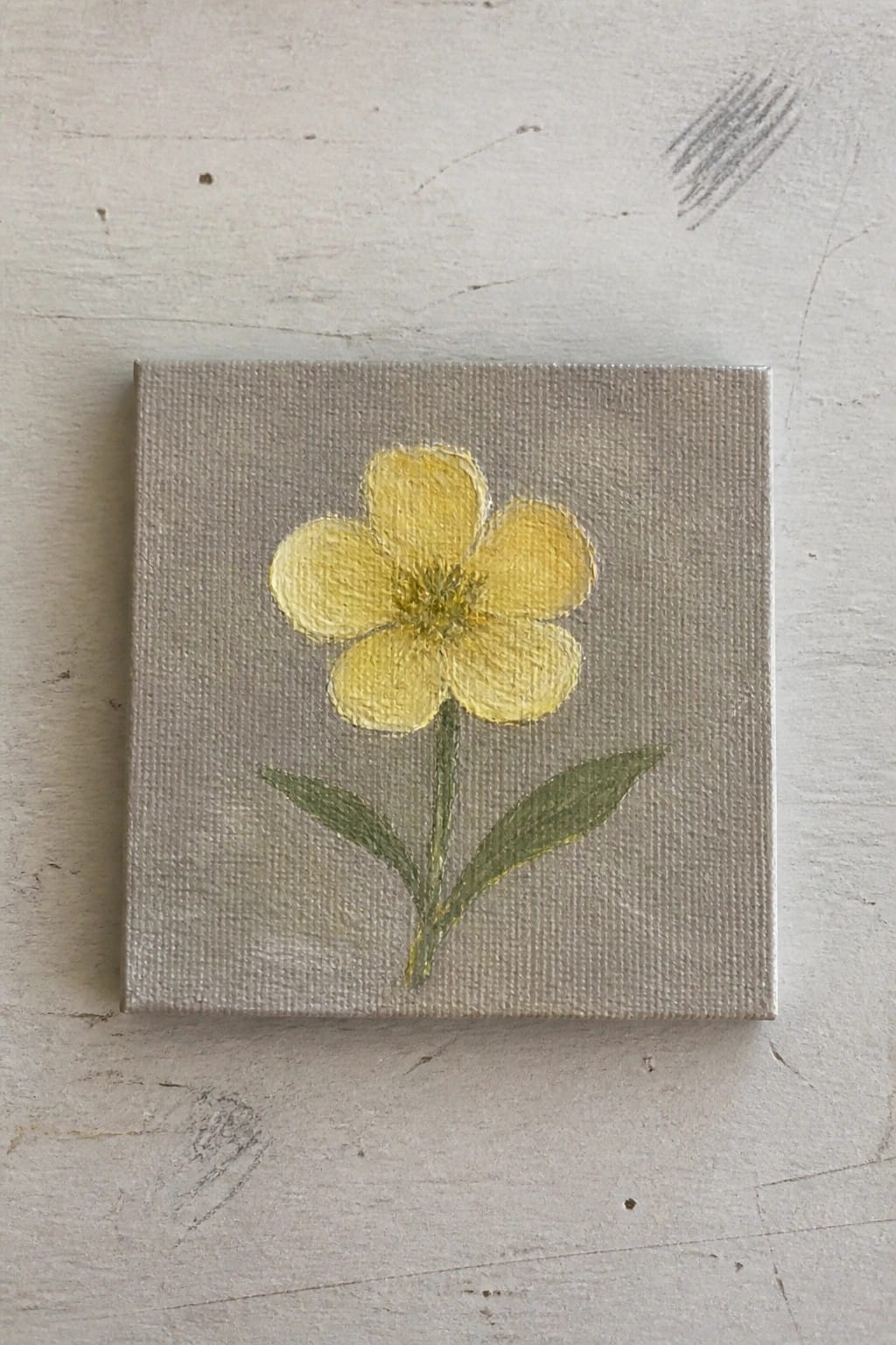 Yellow five-petaled flower with green stem and leaves on gray canvas