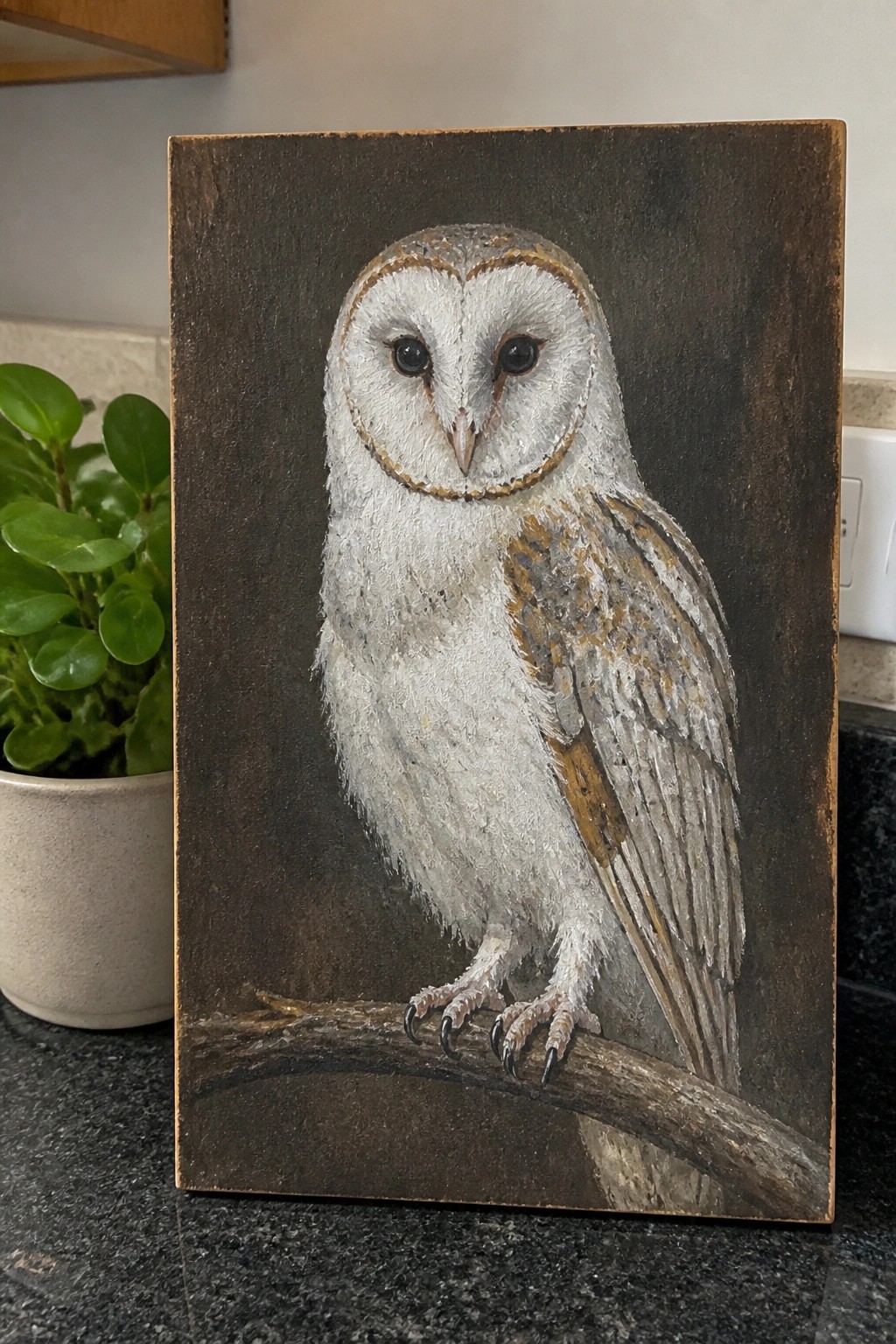 Painted white barn owl with brown wing markings perched on branch on dark wood.