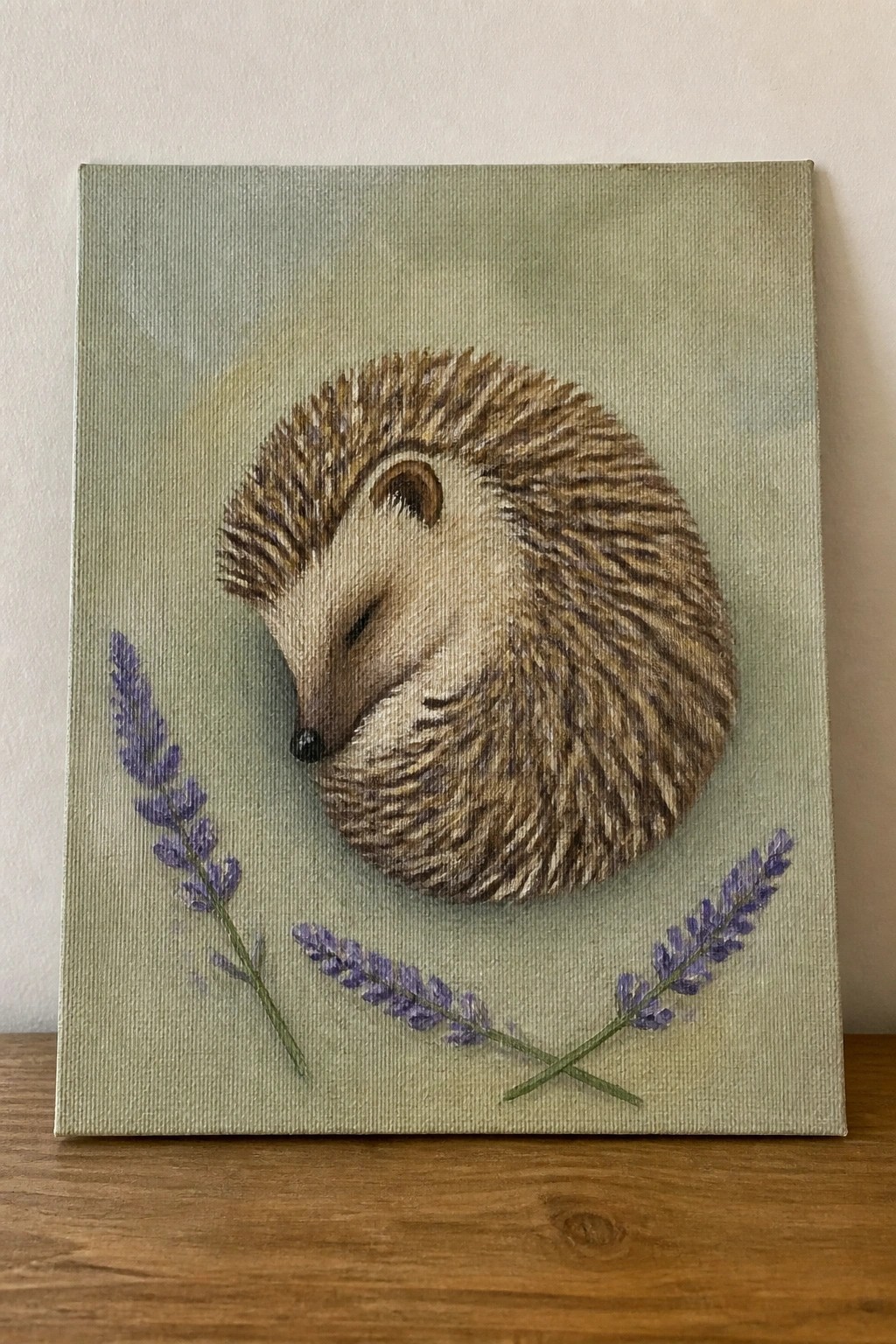 Sleeping hedgehog curled on light green canvas with purple lavender sprigs below.