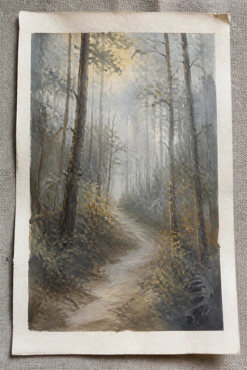 Misty forest path winding among tall trees with soft golden light filtering through.