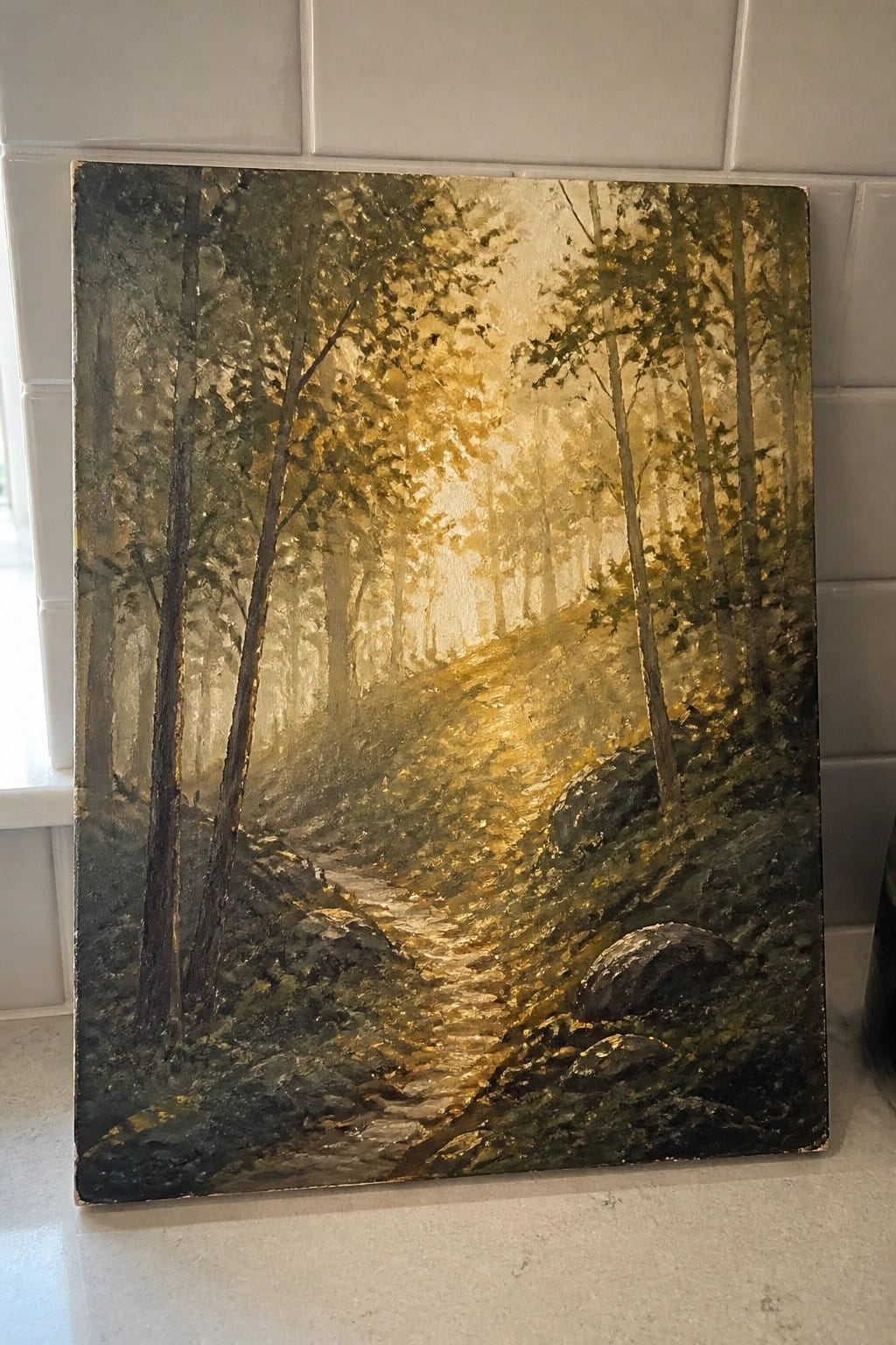 Golden sunlight filters through tall trees onto a winding rocky forest path.