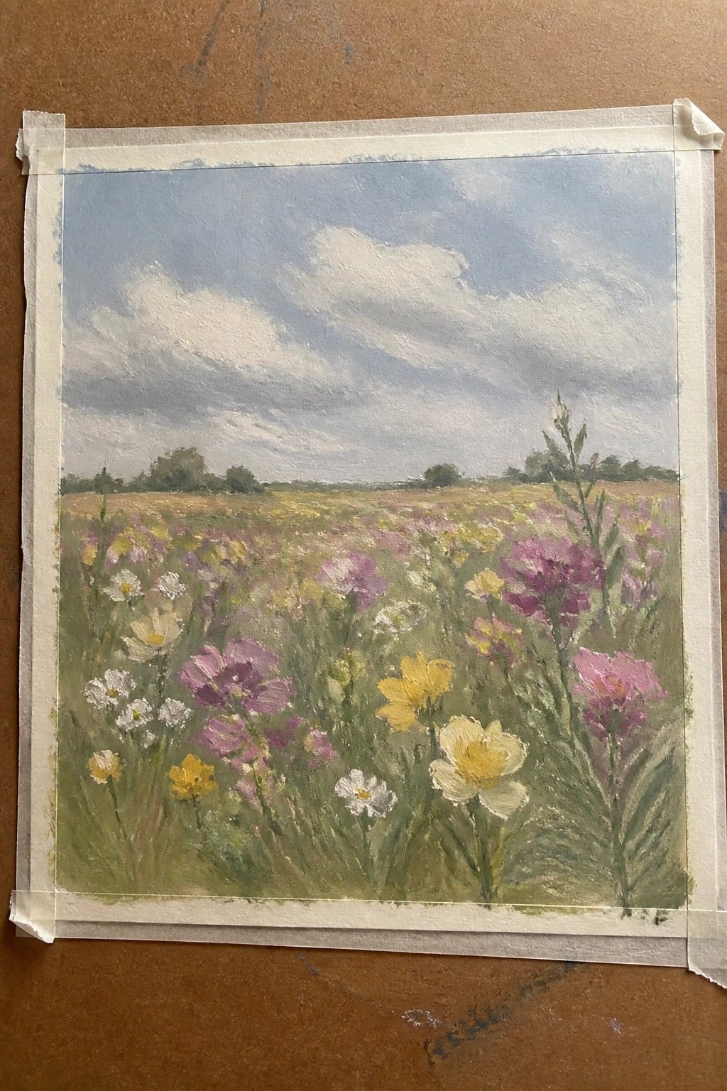 Colorful wildflower meadow with purple, yellow, and white blooms under a cloudy blue sky.