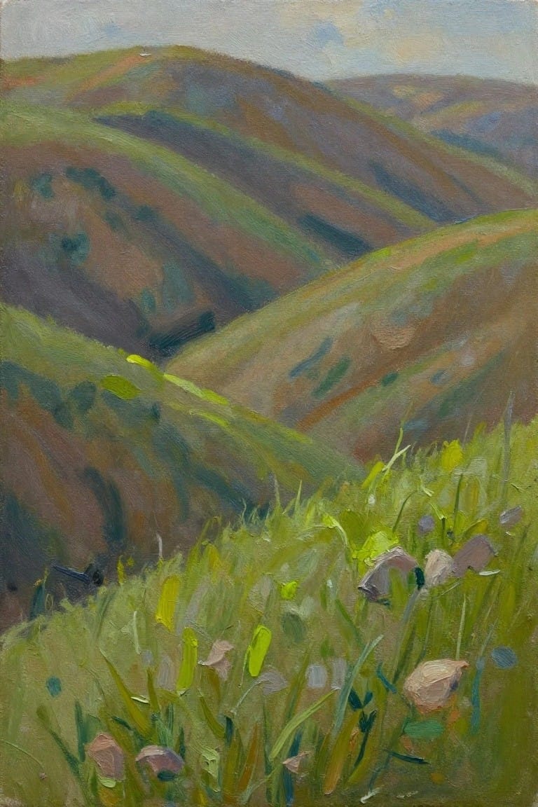 Rolling green and brown hills with pink and yellow wildflowers in foreground.