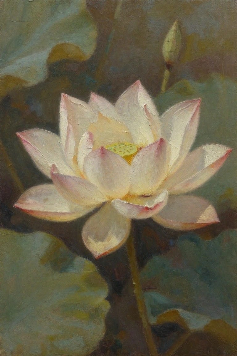 White lotus with pink-tipped petals and yellow center amid green leaves