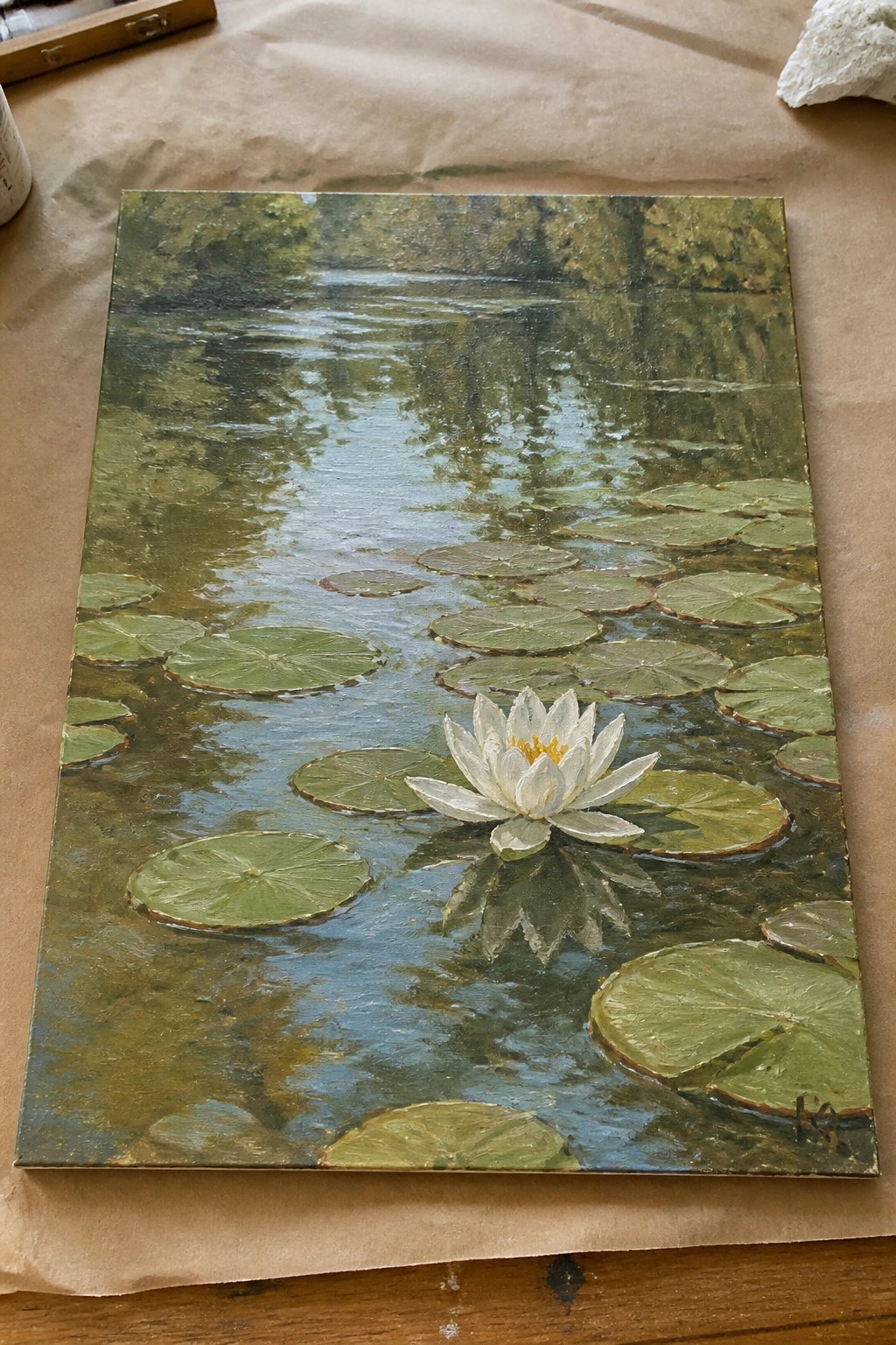 White water lily blooming among green pads on reflective pond with tree reflections