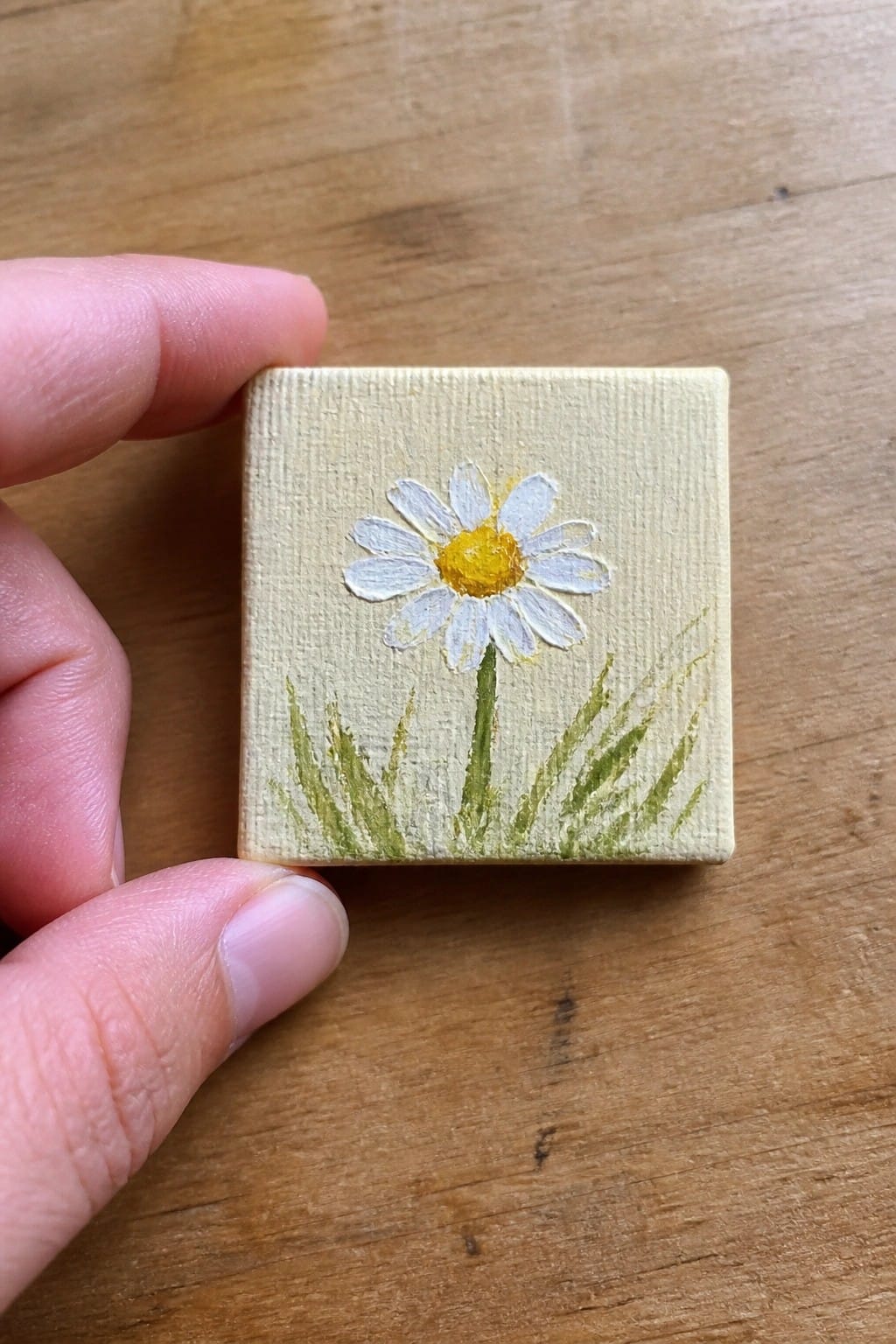 Hand holding small canvas with painted white daisy, yellow center, and green grass