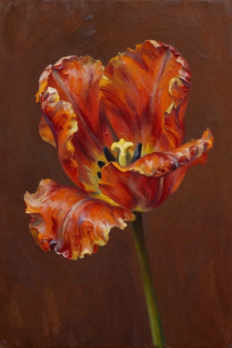 Vibrant ruffled red-orange tulip with yellow center on green stem against brown background