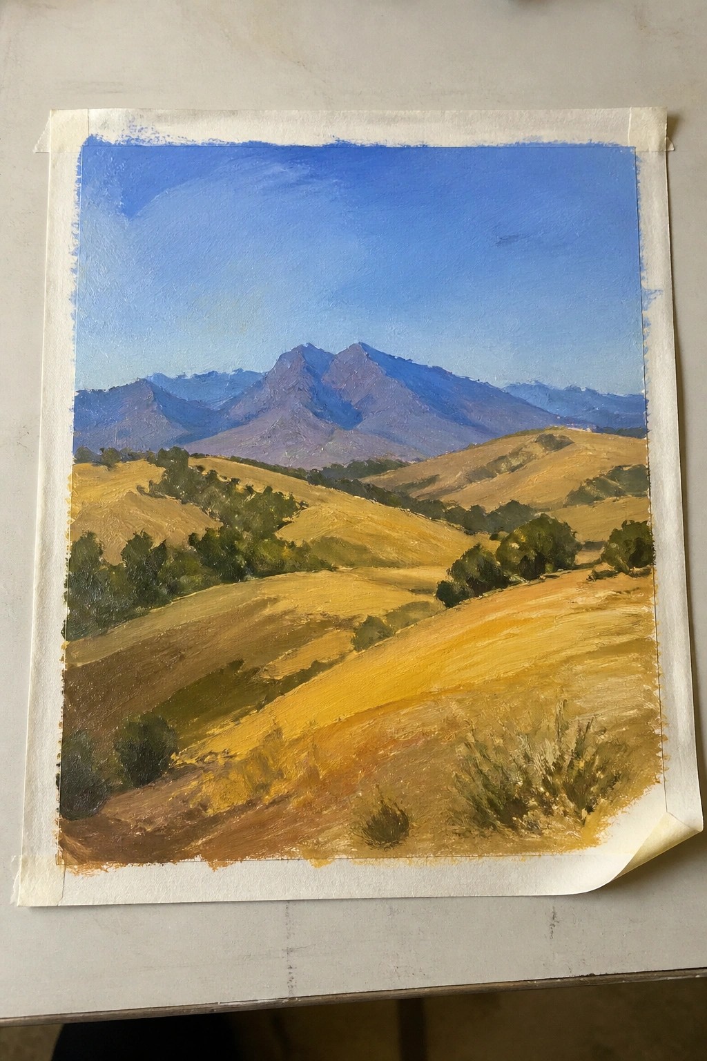 An oil painting of golden rolling hills with scattered green trees and distant blue mountains under a clear sky, taped to a white surface.