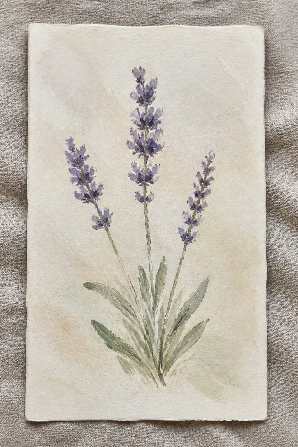 Watercolor painting of three lavender stems with purple flowers and green leaves on textured paper