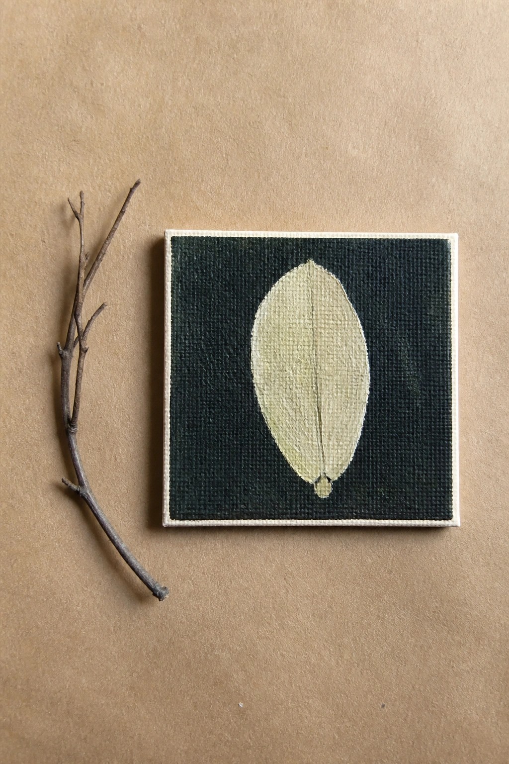 Twig beside canvas with pale green leaf on dark green background