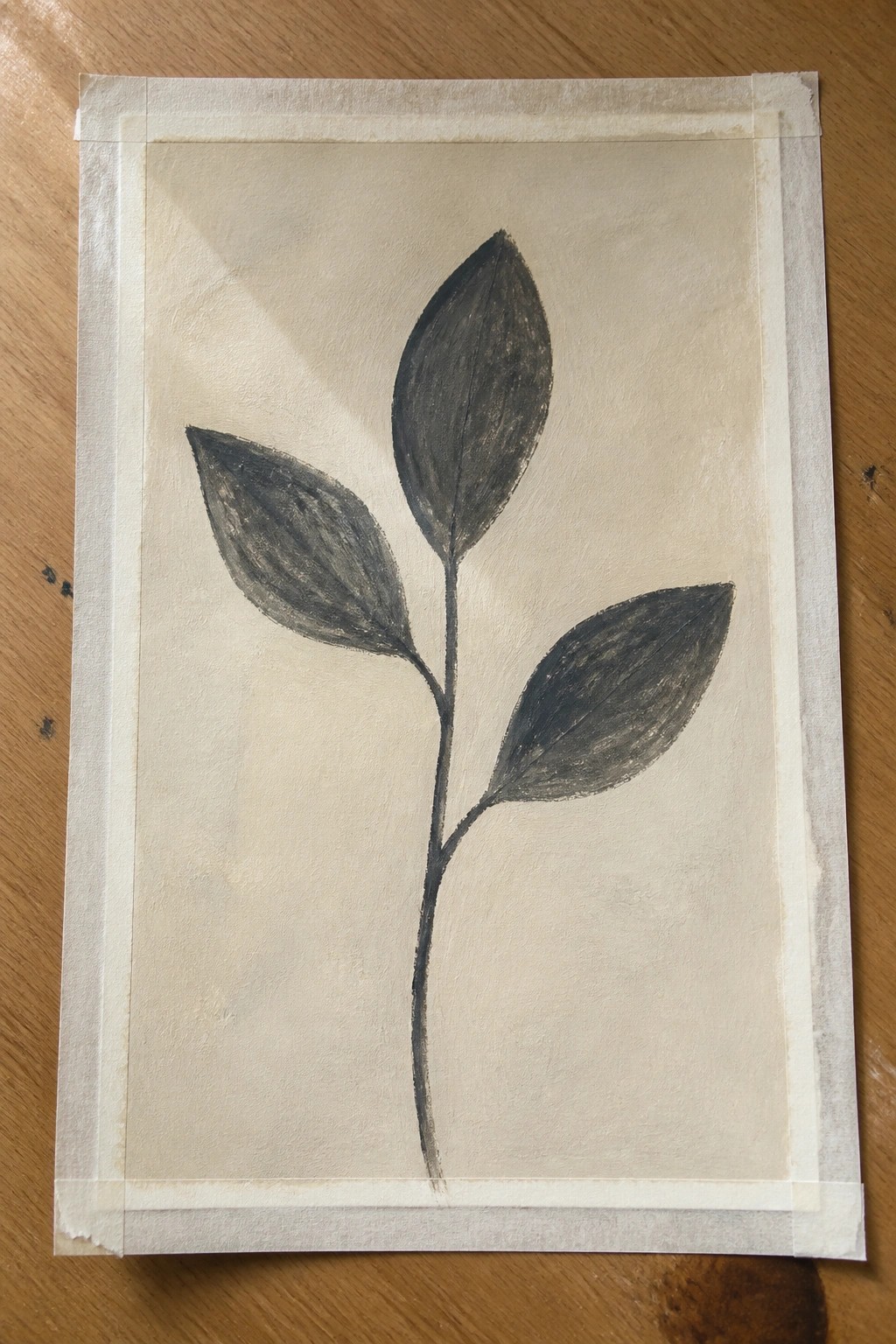 Charcoal plant drawing with dark leaves on beige paper taped to wood.