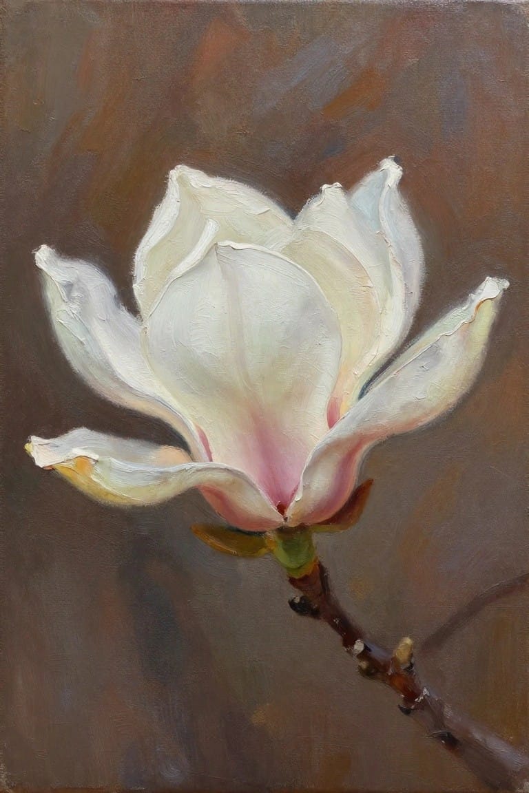 A realistic oil painting of a white magnolia flower with pink at the base, open on a thin brown branch against a dark brown background.