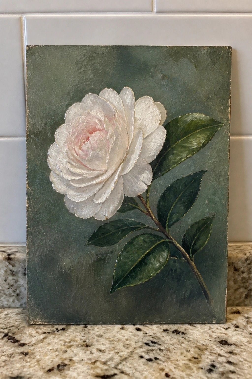 White camellia flower with pink center and green leaves on dark green background