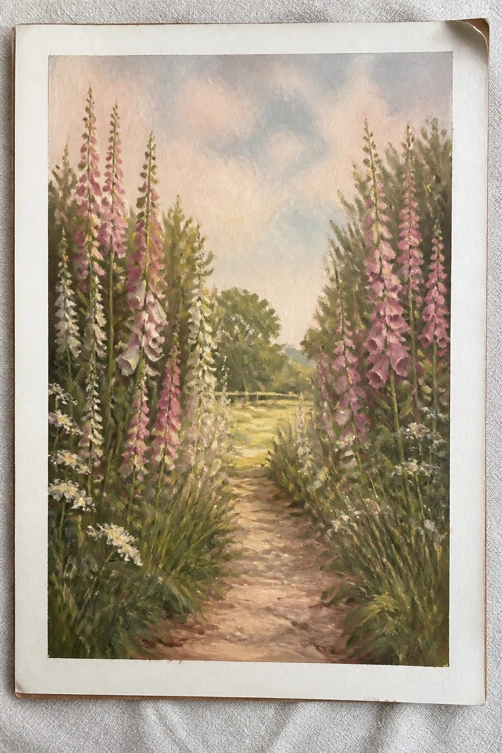 Dirt path lined with tall pink and white foxgloves leading into sunlit fields.