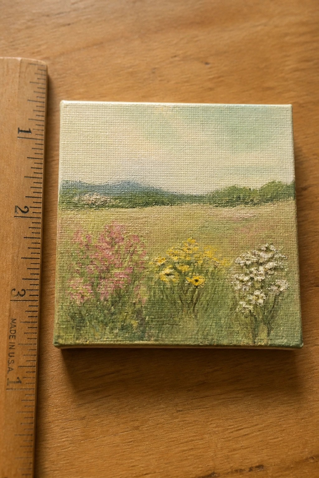 Tiny canvas landscape of pink, yellow, and white wildflowers beside a wooden ruler.