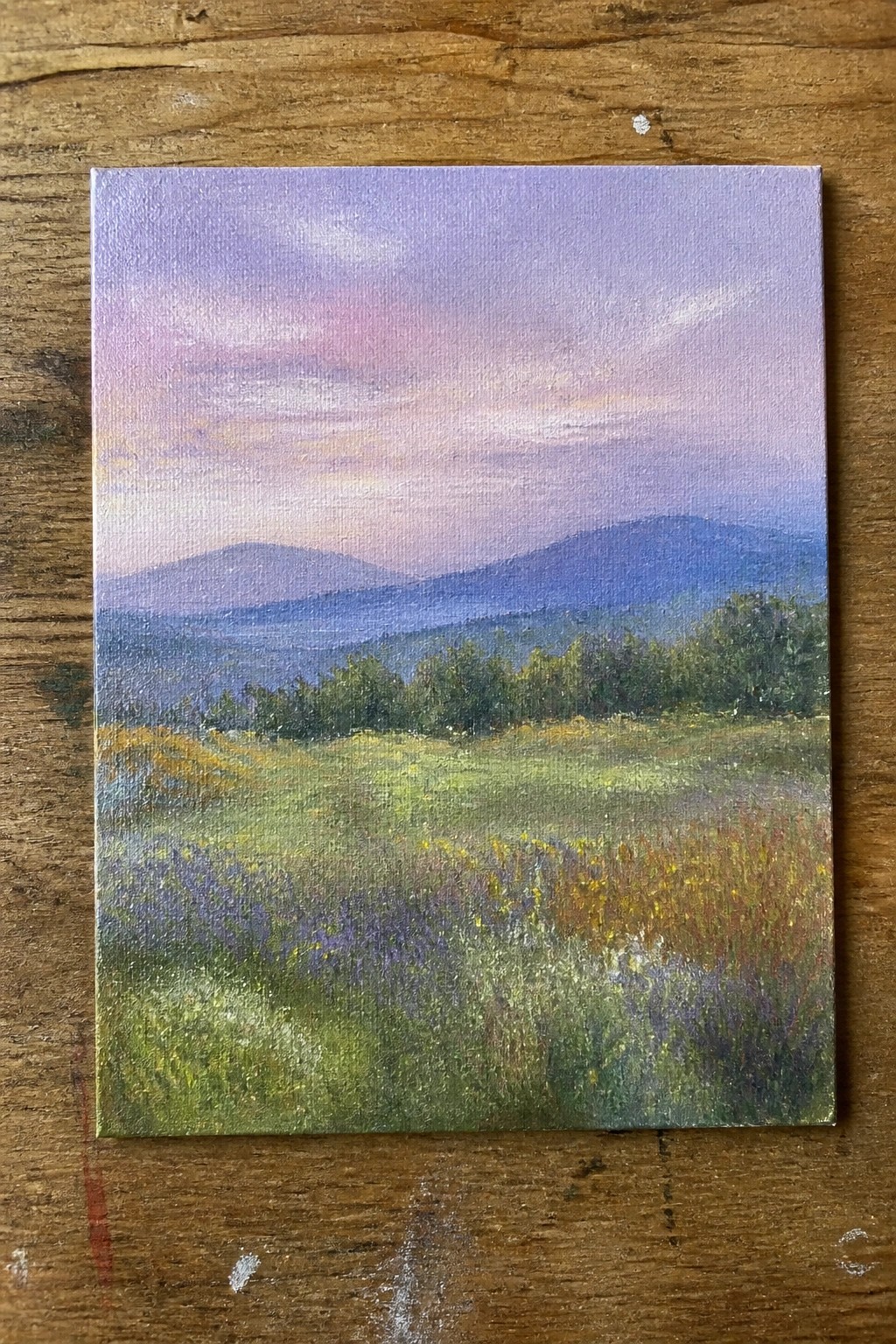 Pastel painting of wildflower meadow with distant mountains under purple sky on wooden table