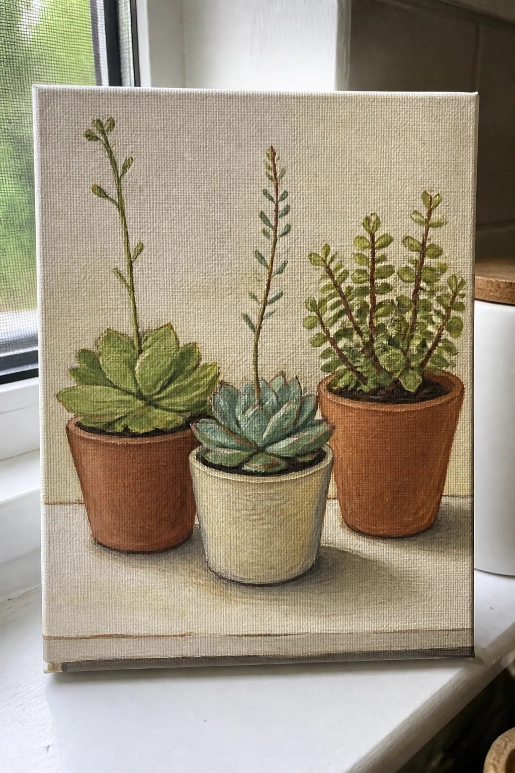 Three succulents in terracotta and ceramic pots on canvas windowsill
