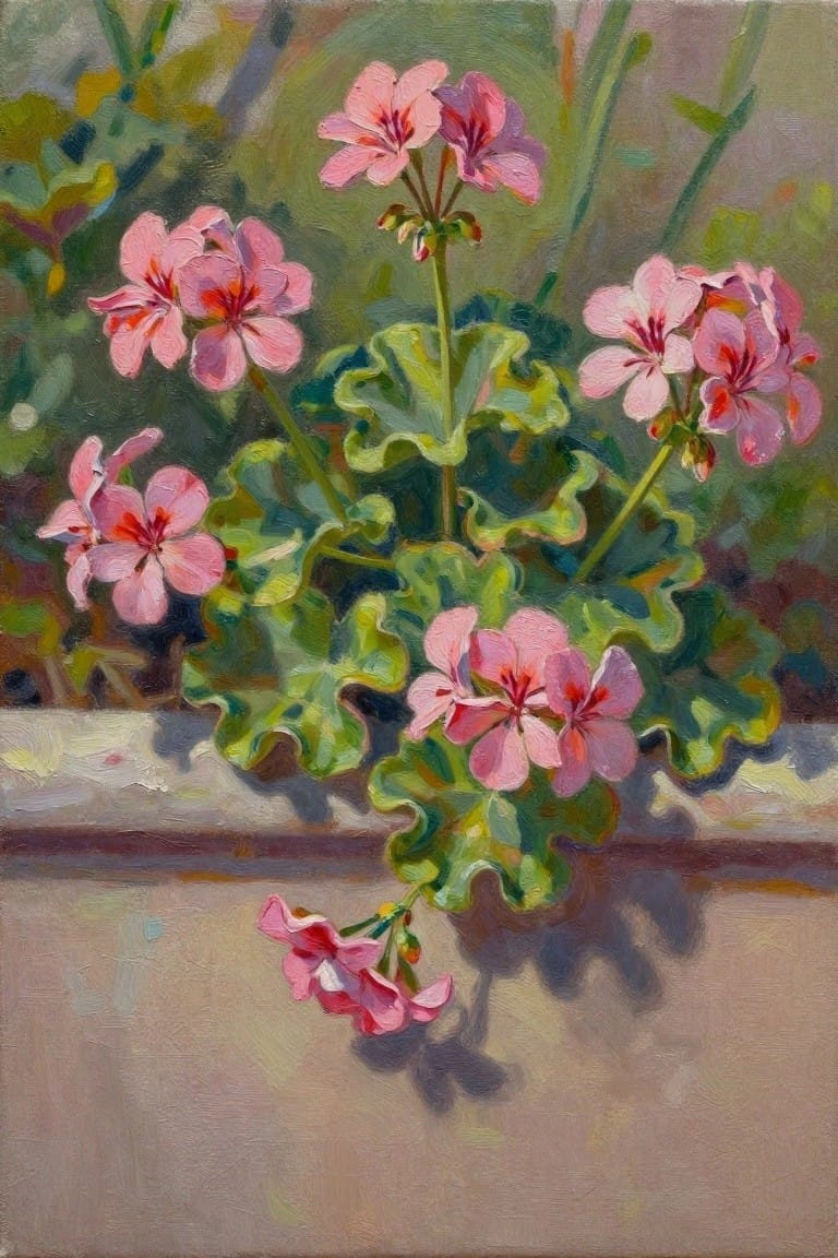 Pink geraniums with red centers and green leaves in a pot on a ledge.