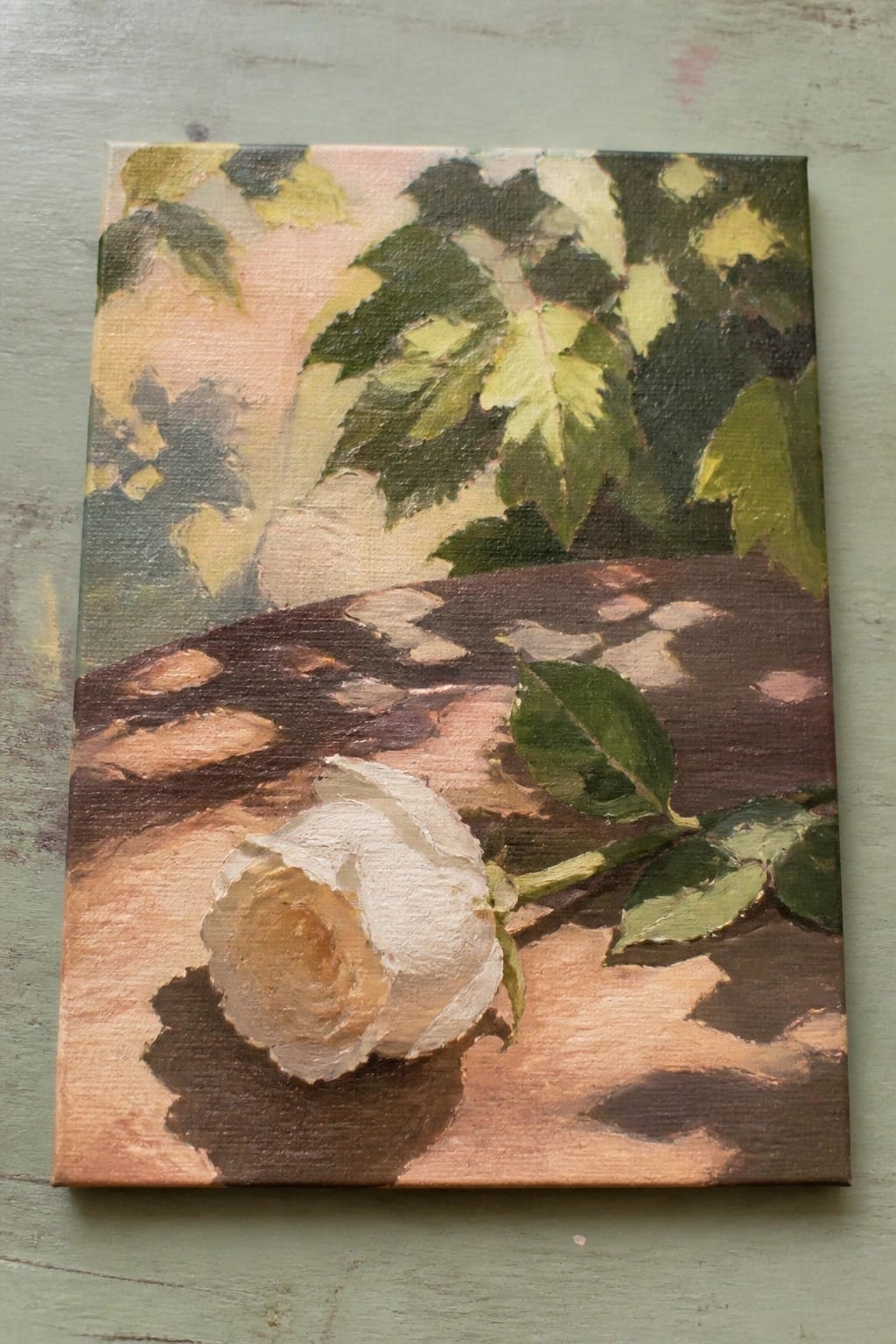White rose with stem on sunlit wooden ledge amid green foliage shadows.
