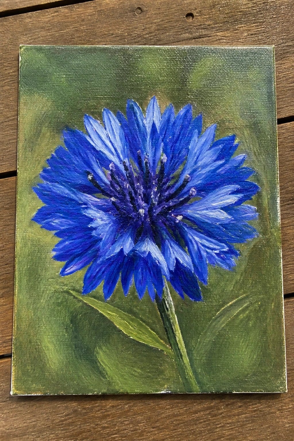 Blue cornflower painting with layered petals, green stem, and leafy background on wood