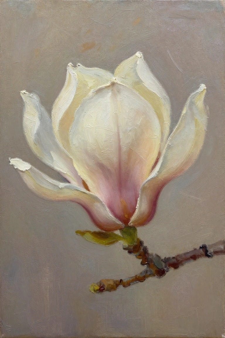 Oil painting of a white magnolia flower with pink tones on a small branch against a muted gray-brown background.