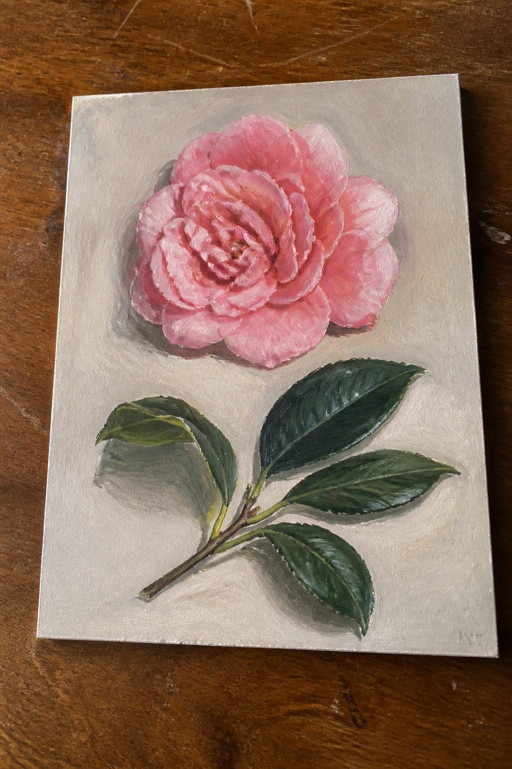 Pink camellia bloom with green leaves painted on light canvas over wood