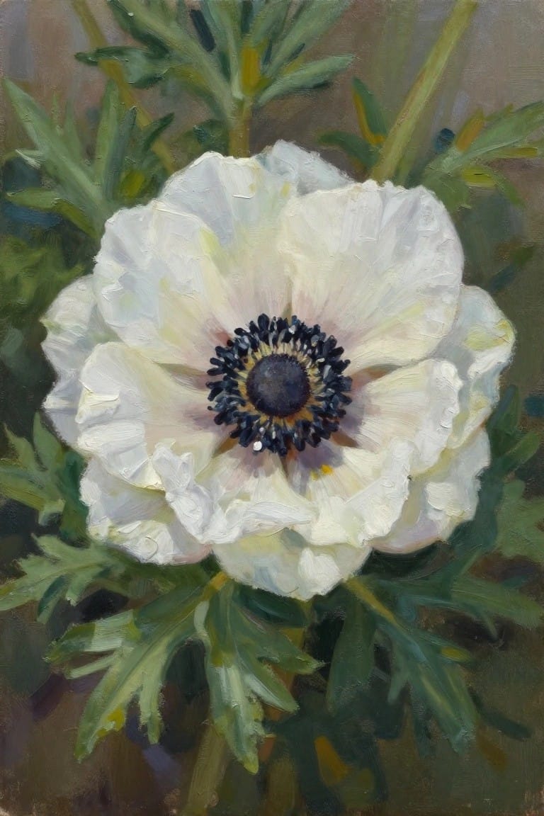 White anemone with dark center amid green leaves in oil painting style