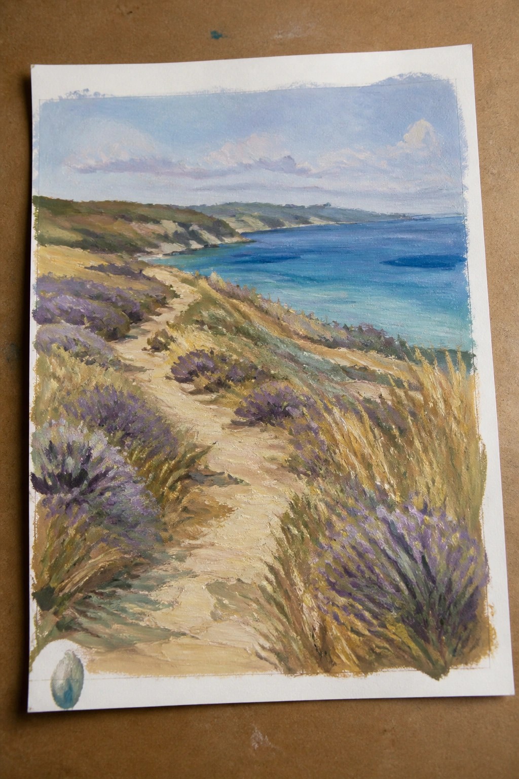 Coastal path winding through purple heather and golden grass beside the blue sea.